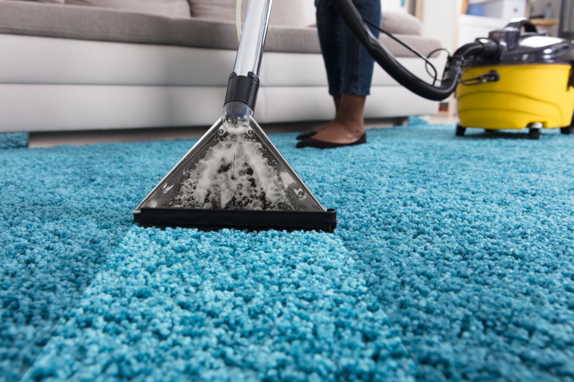Professional carpet cleaning service